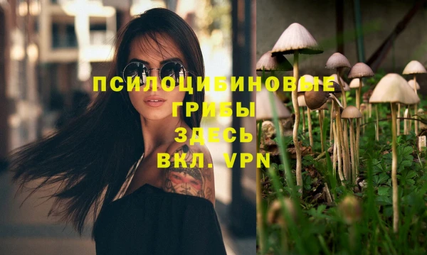 герыч Покровск
