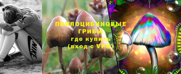 дживик Абаза