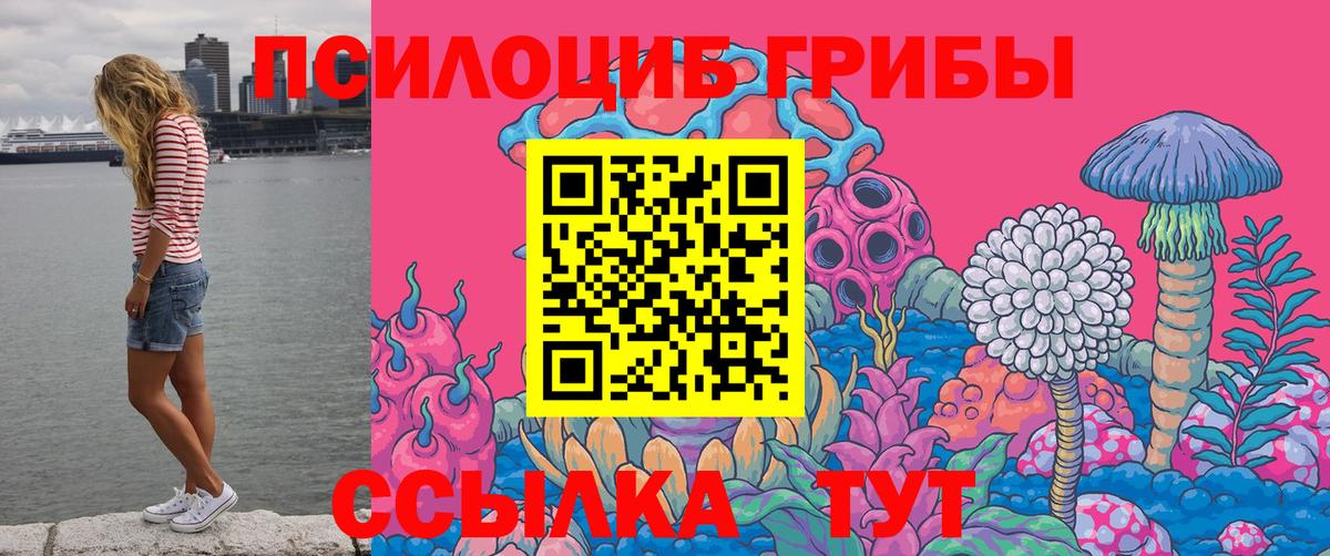 Псилоцибиновые грибы мицелий  Вход с VPN  Благовещенск 