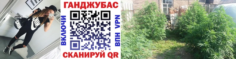 Шишки марихуана планчик  цены   Благовещенск 